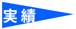実績